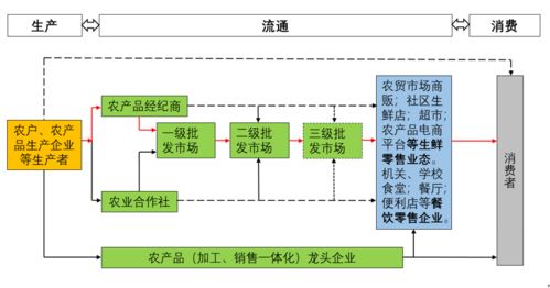 数智赋能 链通未来 我国生鲜农产品流通新趋势及软件开发展望