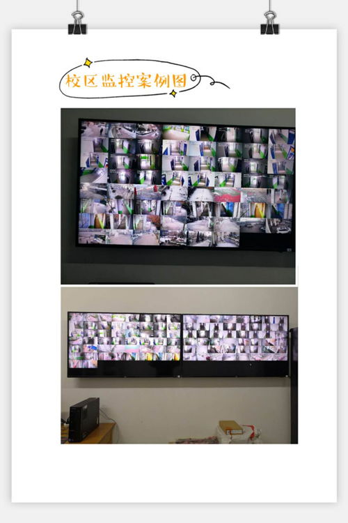 韩城市阳光电脑科技公司 软件开发领域的创新与赋能