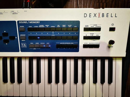 Dexibell S9对比雅马哈机械钢琴与工作站 选琴如品酒，硬件零售新视角