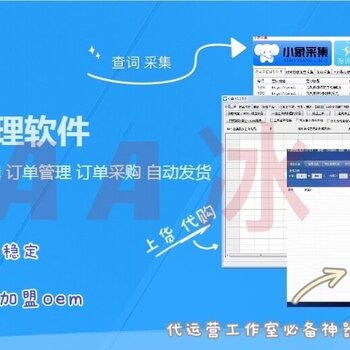 拼多多无货源店群软件开发与生态赋能 技术、招商与运营一体化解决方案
